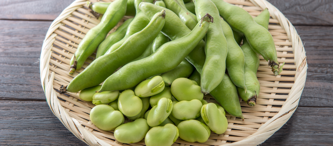 fave fresche valori nutrizionali
