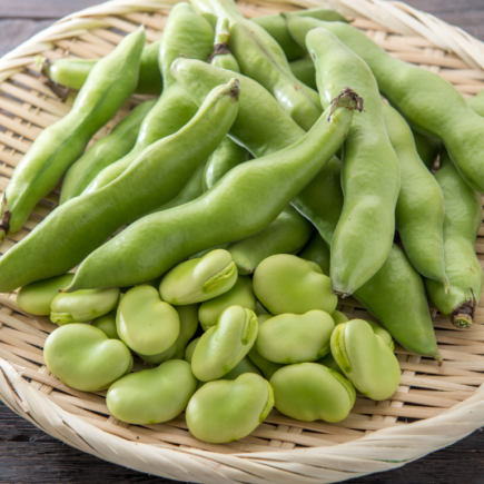 fave fresche valori nutrizionali